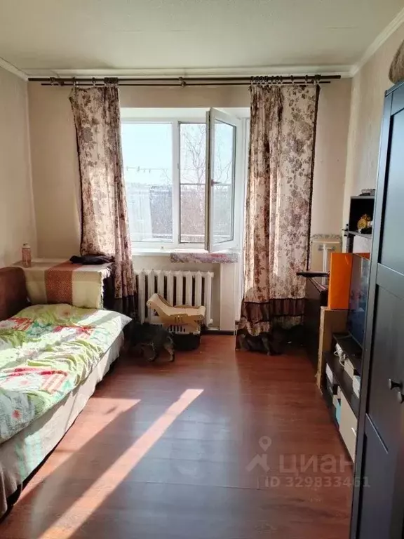 1-к кв. Московская область, Люберцы городской округ, Малаховка пгт ул. ... - Фото 1