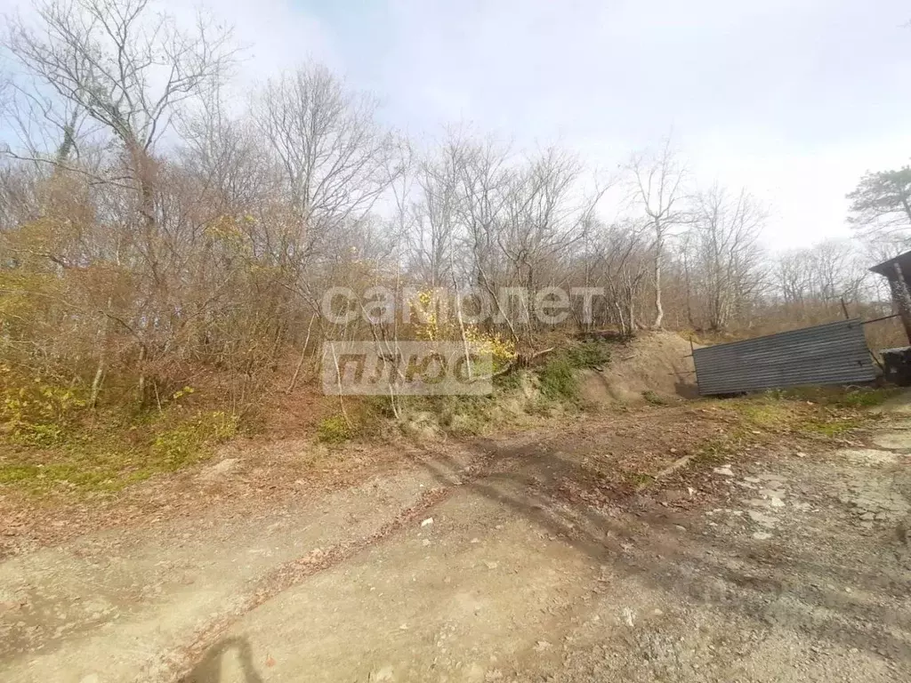 Участок в Краснодарский край, Туапсинский муниципальный округ, с. ... - Фото 2