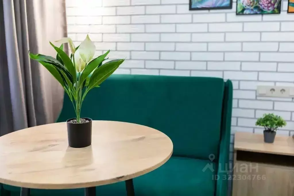 1-к кв. Московская область, Раменский муниципальный округ, Кратово пгт ... - Фото 2