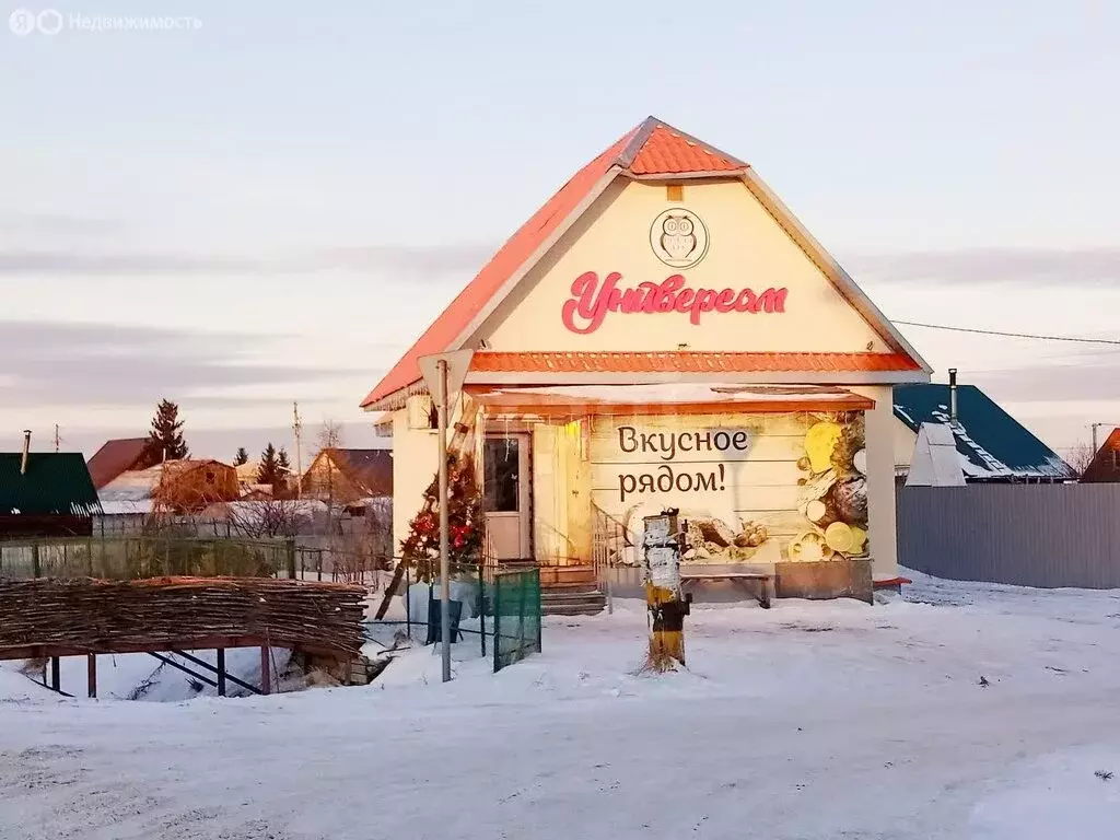 Участок в Тюменский муниципальный округ, садовое некоммерческое ... - Фото 1