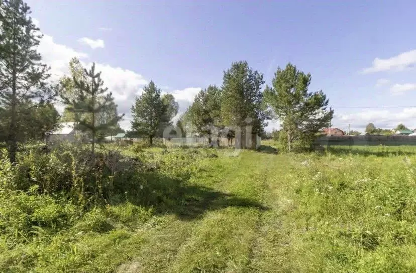 Участок в Тюменская область, Тюменский муниципальный округ, ... - Фото 1