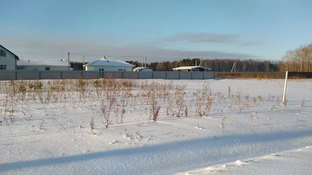 Участок в Тюменская область, Тюменский район, с. Кулига, Сказка кп  ... - Фото 1