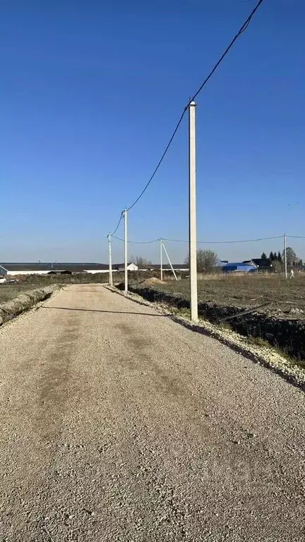 Участок в Ленинградская область, Гатчинский муниципальный округ, ... - Фото 1