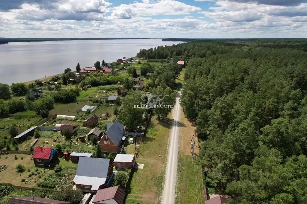 Участок в Новосибирская область, Ордынский район, с. Спирино Боровая ... - Фото 2