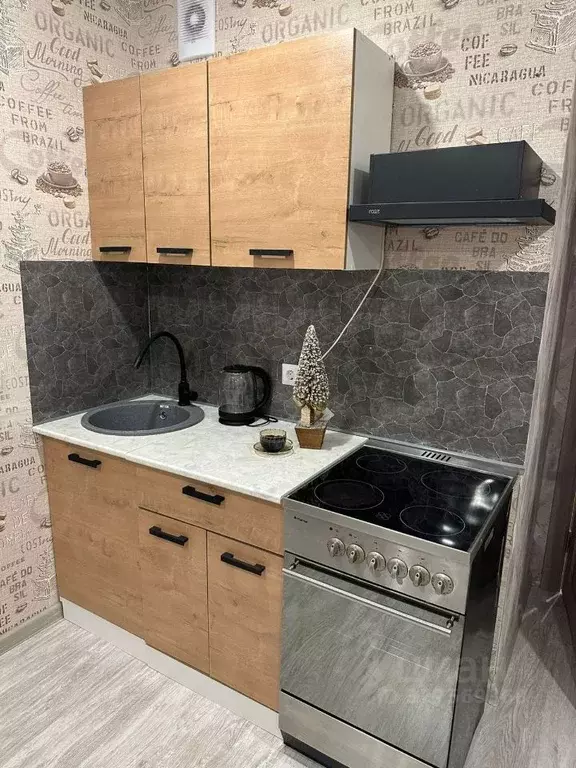 Студия Ленинградская область, Мурино Всеволожский район, ул. Шоссе в ... - Фото 2