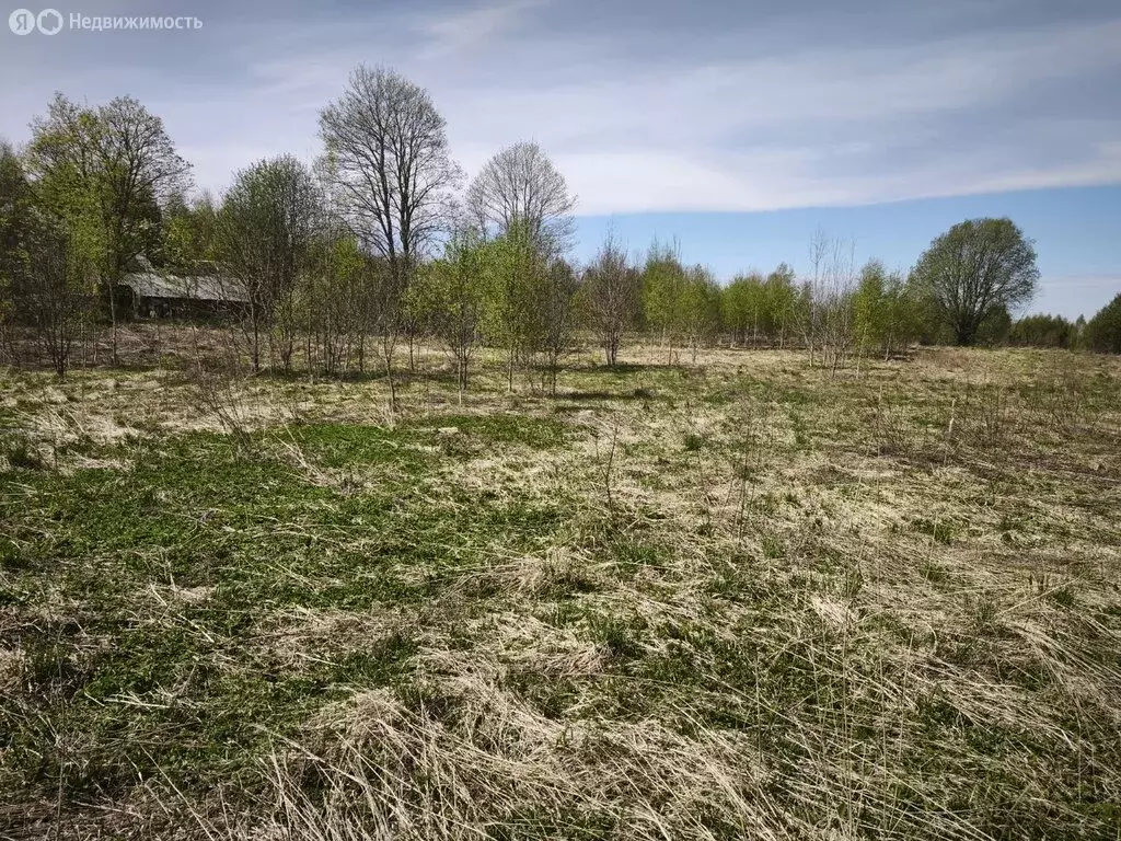 Дом в Псковская область, Пушкиногорский муниципальный округ, деревня ... - Фото 1