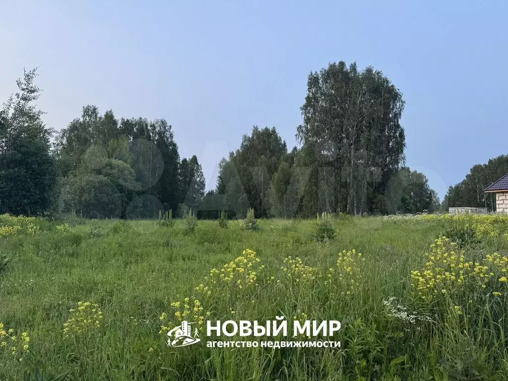 Участок 6,1 сот. (ИЖС) - Фото 0