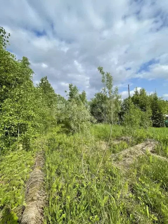 Участок в Архангельская область, Котласский муниципальный округ, ... - Фото 1