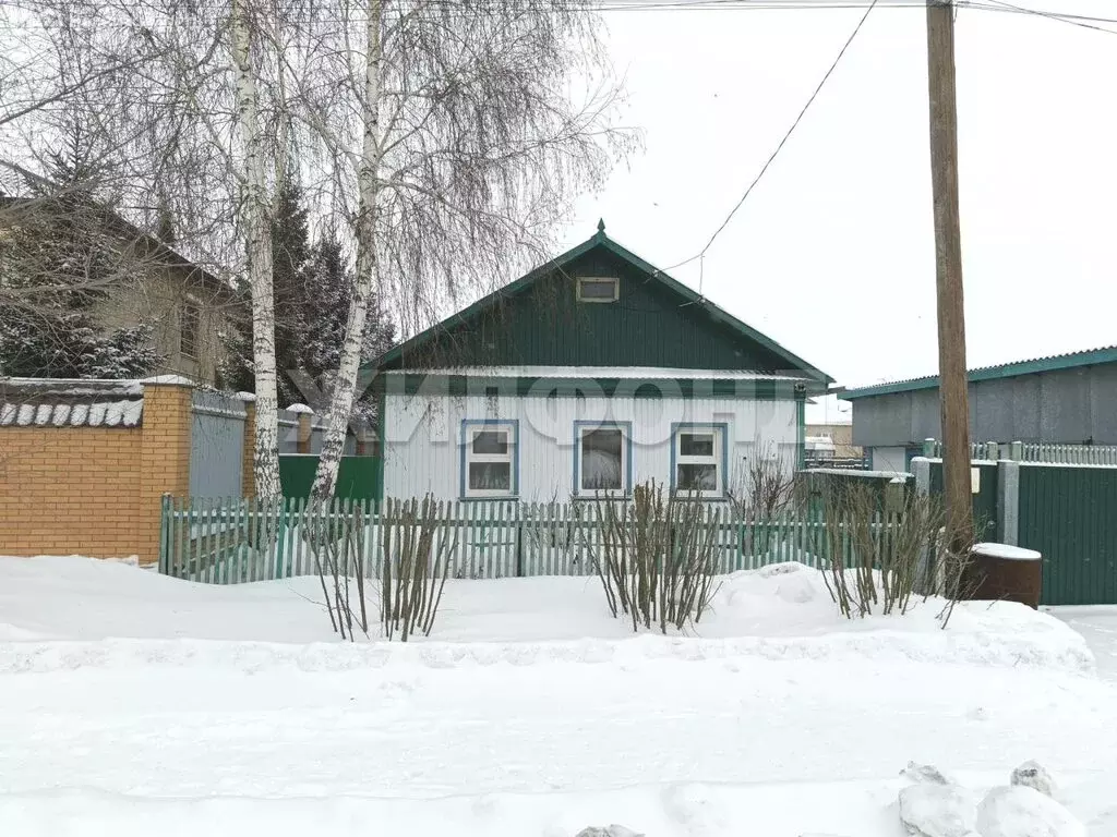 Дом в Карасук, Совхозная улица (56.5 м) - Фото 1