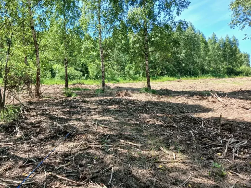 Участок в Московская область, Серпухов городской округ, Берендеево ... - Фото 1