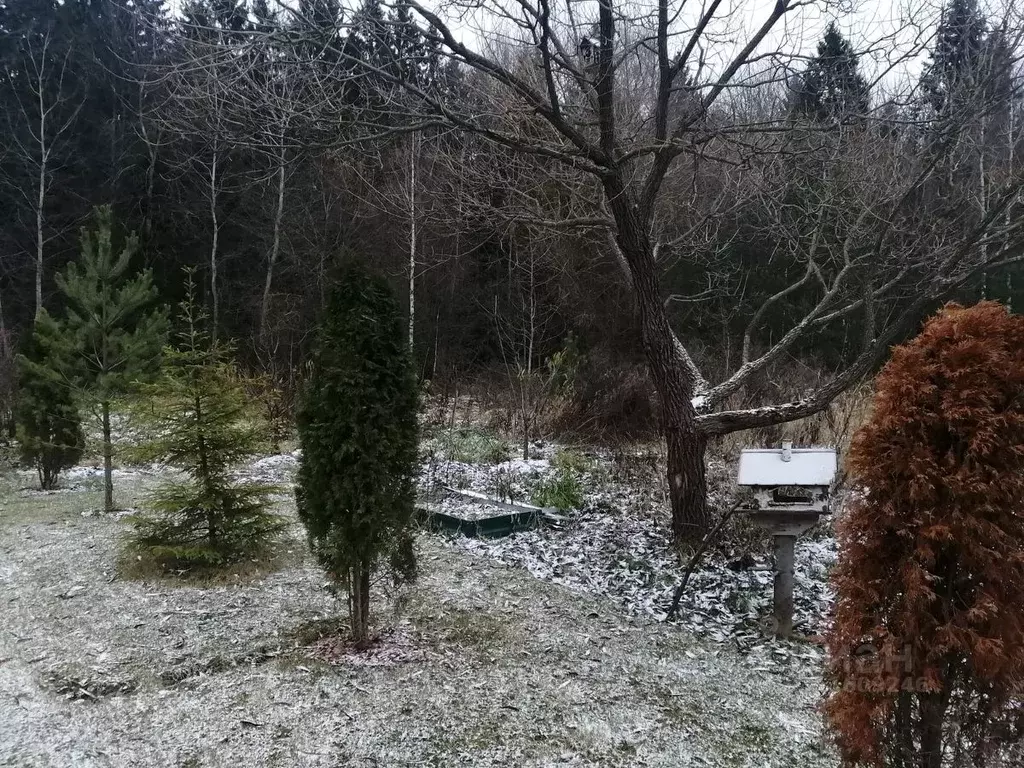 Участок в Московская область, Солнечногорск городской округ, д. ... - Фото 1