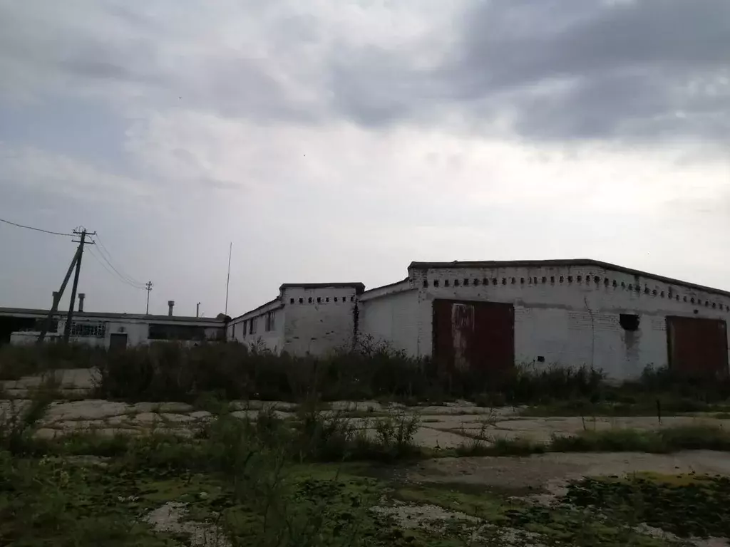 Участок в Московская область, Клин городской округ, д. Борки  (5.0 ... - Фото 1