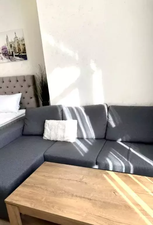 1-к кв. Амурская область, Благовещенск ул. Горького, 238 (37.1 м) - Фото 1