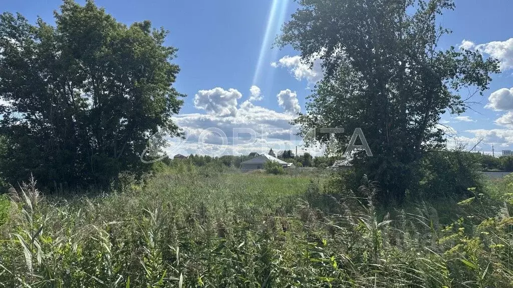 Участок в Тюменская область, Тюмень пос. Букино, ул. Полетаева (7.5 ... - Фото 1