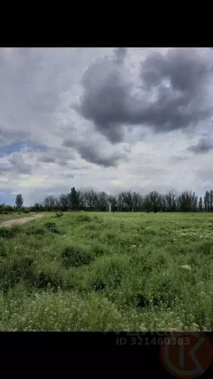 Участок в Крым, Белогорский район, с. Ароматное ул. Школьная, 26 (15.0 ... - Фото 2