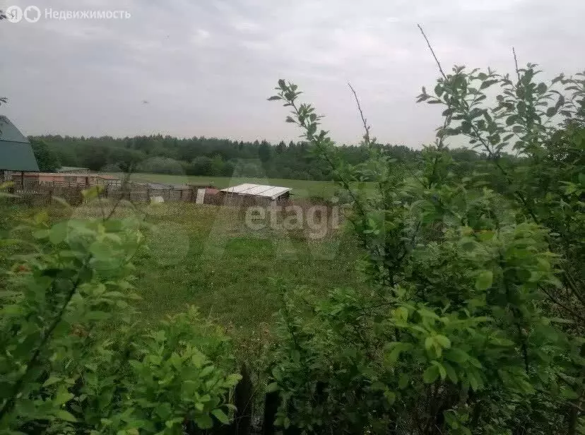 участок в краснокамский городской округ, село мысы (10 м) - Фото 1