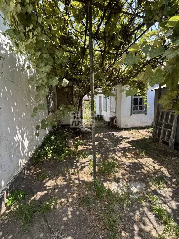 Дом в Краснодарский край, Тимашевск ул. Чапаева (48 м) - Фото 1