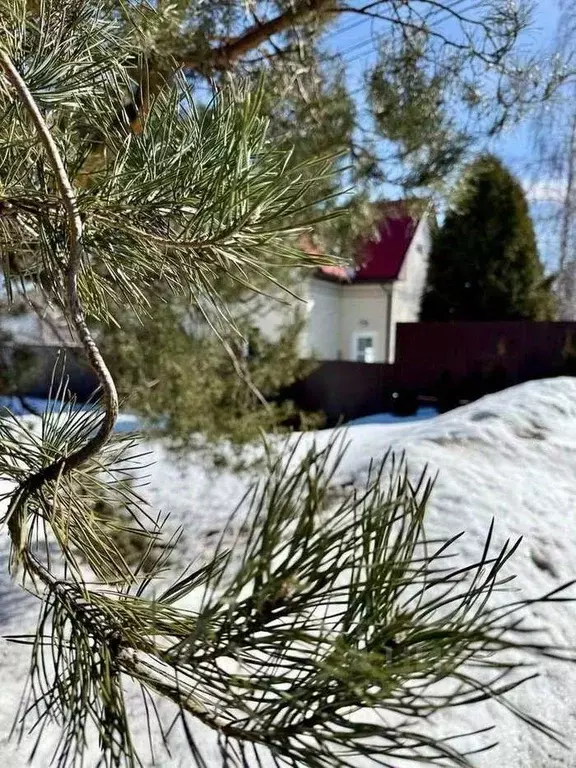 Дом в Белгородская область, Старый Оскол Лесная Поляна мкр, ул. Лесная ... - Фото 2
