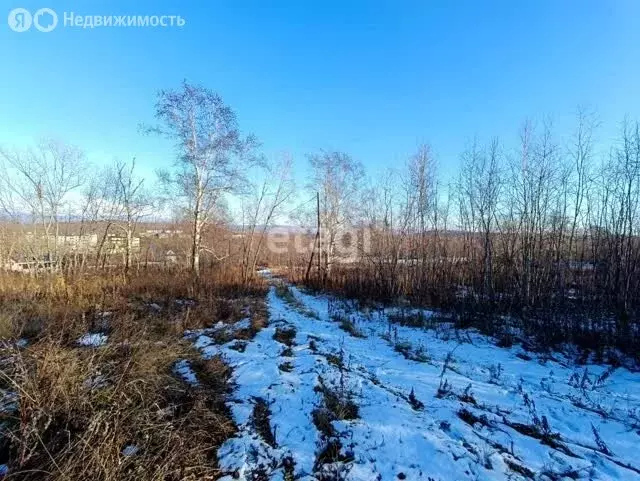 Участок в Елизово, Рябиновая улица (12 м) - Фото 1