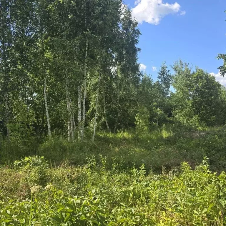 Участок в Московская область, Воскресенск городской округ, с. Ашитково ... - Фото 1
