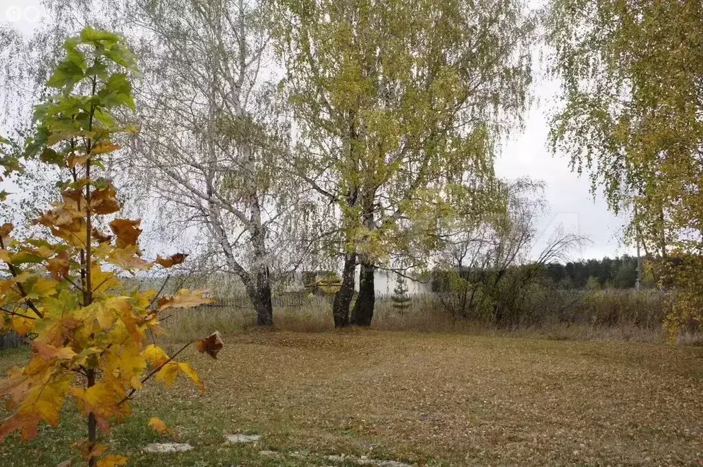 Участок в Свердловская область, Тугулымский муниципальный округ, ... - Фото 1