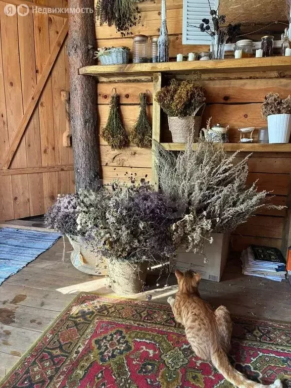 Дом в Кемерово, Вьюжная улица (87.6 м) - Фото 2