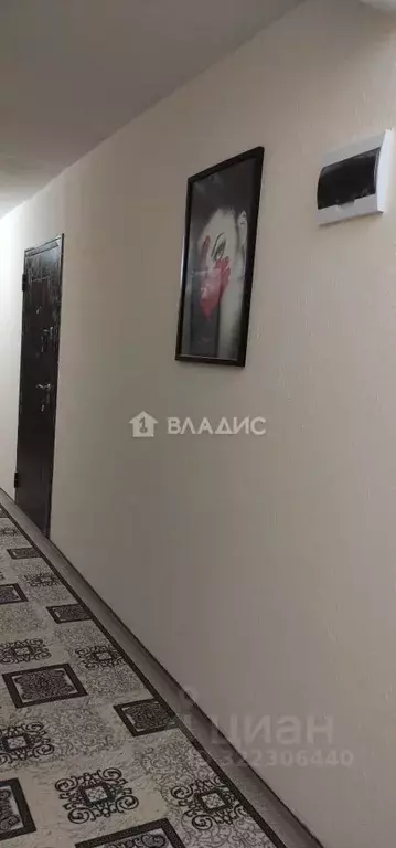 Студия Карелия, Сегежа Лесная ул., 3А (35.4 м) - Фото 2