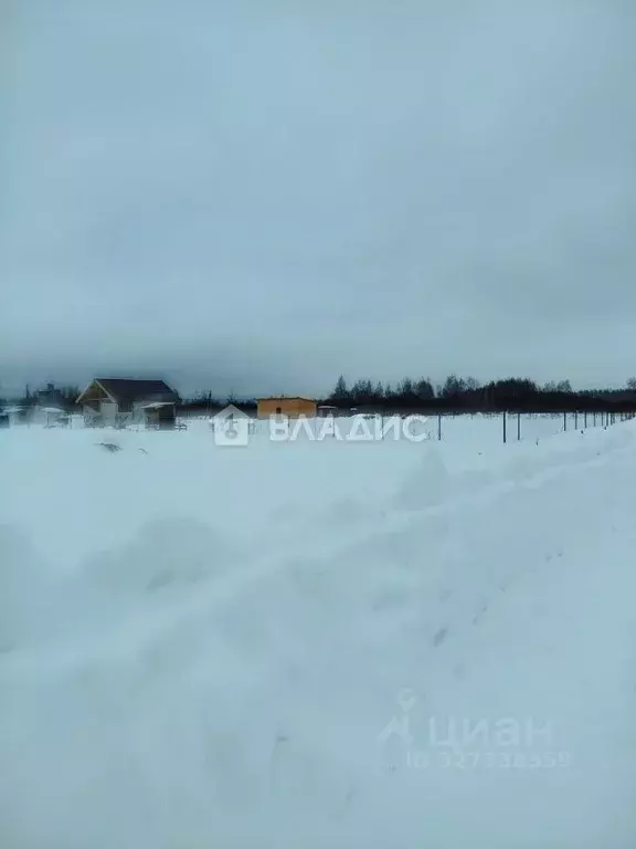 Участок в Владимирская область, Собинский муниципальный округ, с. ... - Фото 2