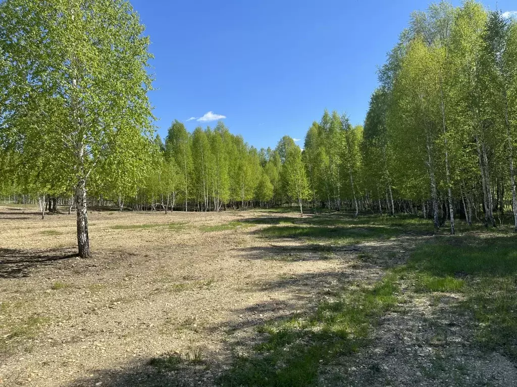 Участок в Челябинская область, Карабашский городской округ, пос. ... - Фото 2