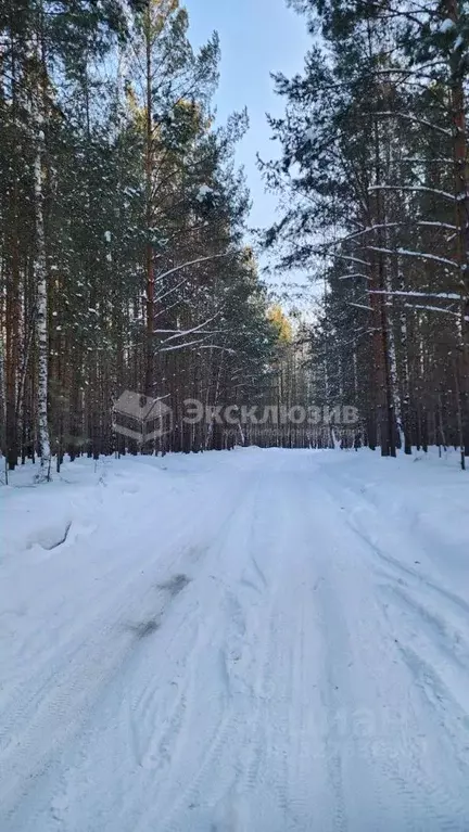 Участок в Тюменская область, Тюмень Ямская ул. (8.0 сот.) - Фото 1