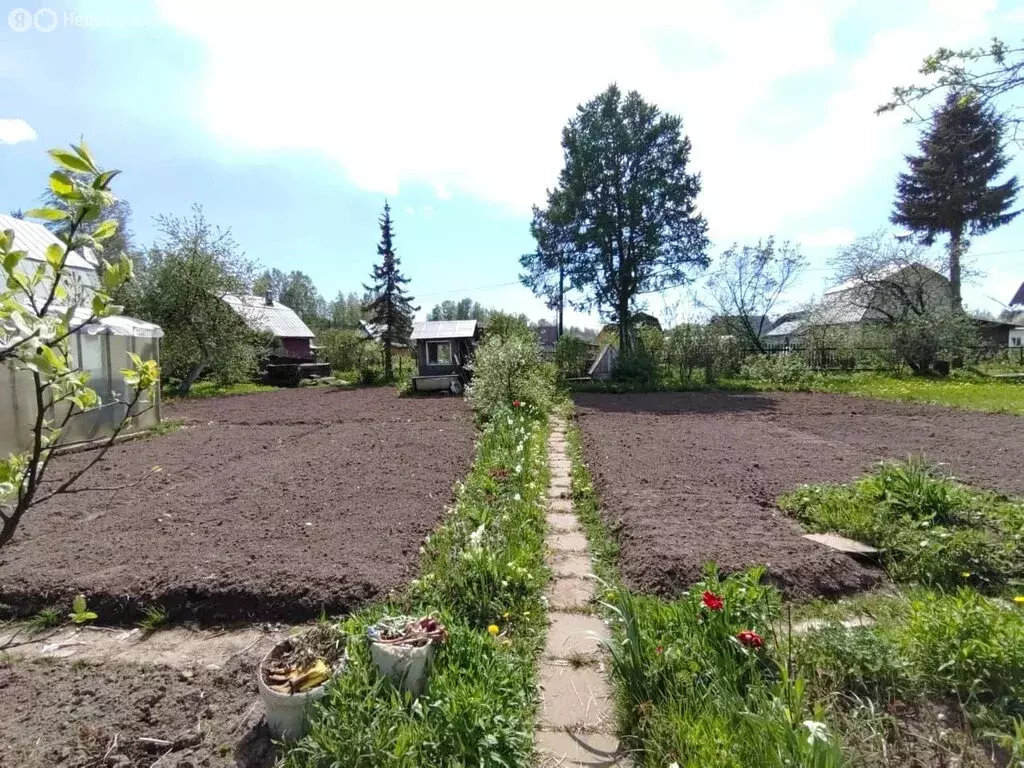 Участок в Вологодская область, Череповецкий муниципальный округ, СНТ ... - Фото 2