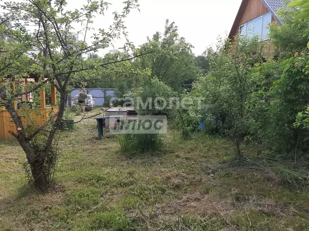 Участок в Московская область, Рузский муниципальный округ, Долматово ... - Фото 1