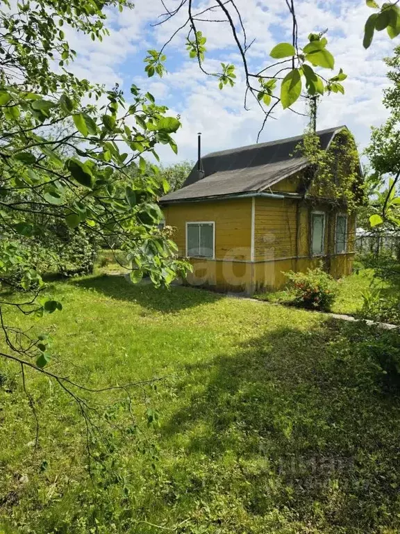 Участок в Санкт-Петербург Дружный-1 СНТ, 8-я линия, 27 (6.39 сот.) - Фото 2