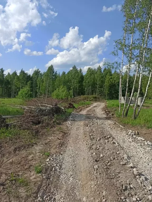 Участок в Тульская область, Тула ул. Чижова (10.0 сот.) - Фото 2