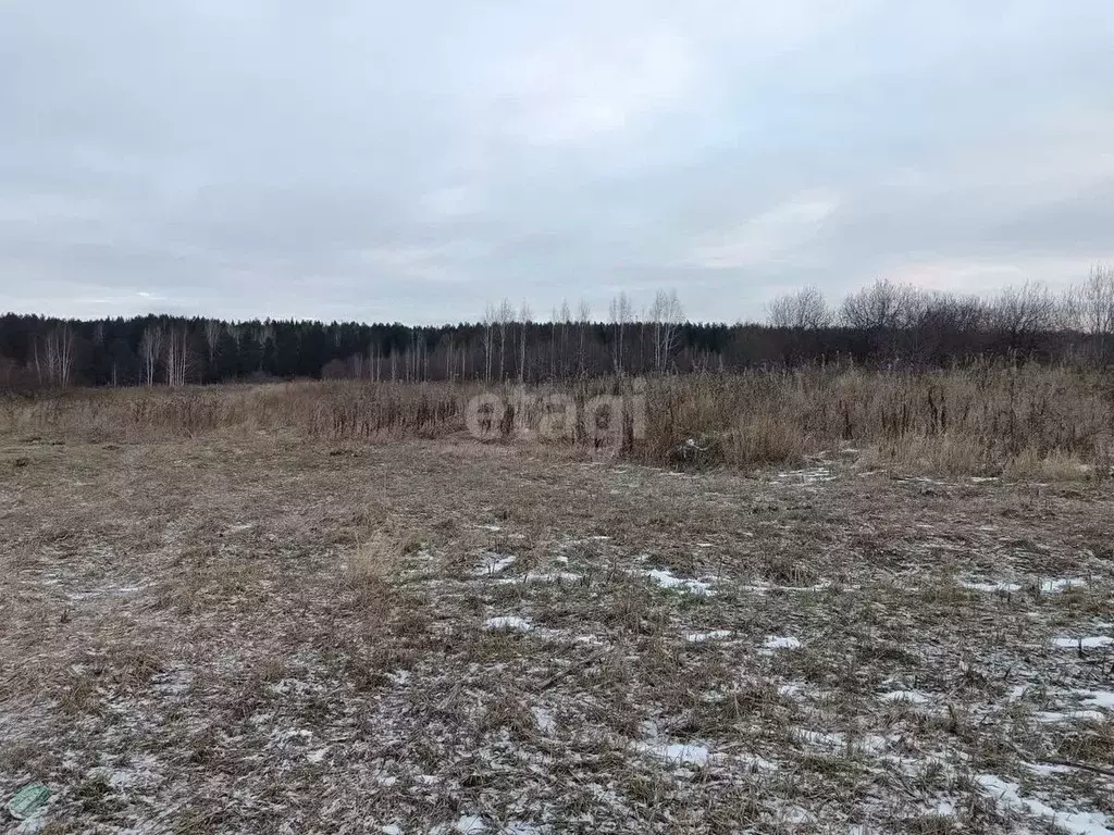 Участок в Свердловская область, Нижний Тагил с. Ольховка,  (12.0 сот.) - Фото 0