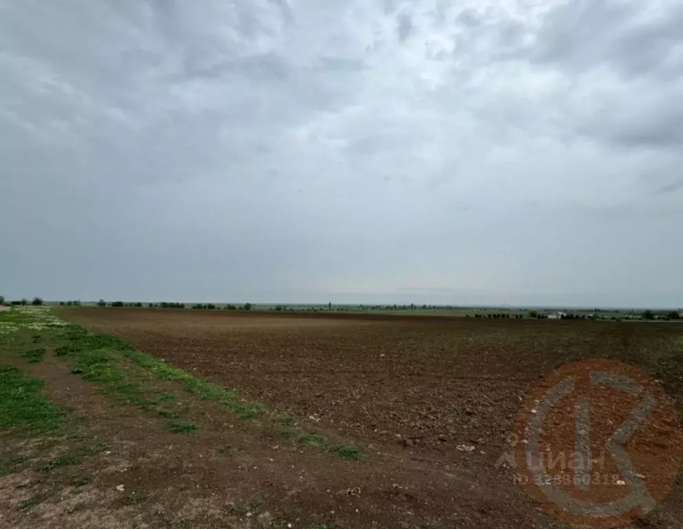 Участок в Крым, Красногвардейский район, Полтавское с/пос, с. ... - Фото 1