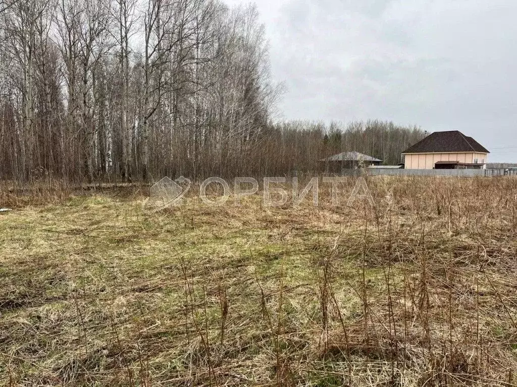 Участок в Тюменская область, Тюменский муниципальный округ, с. Кулига, ... - Фото 1