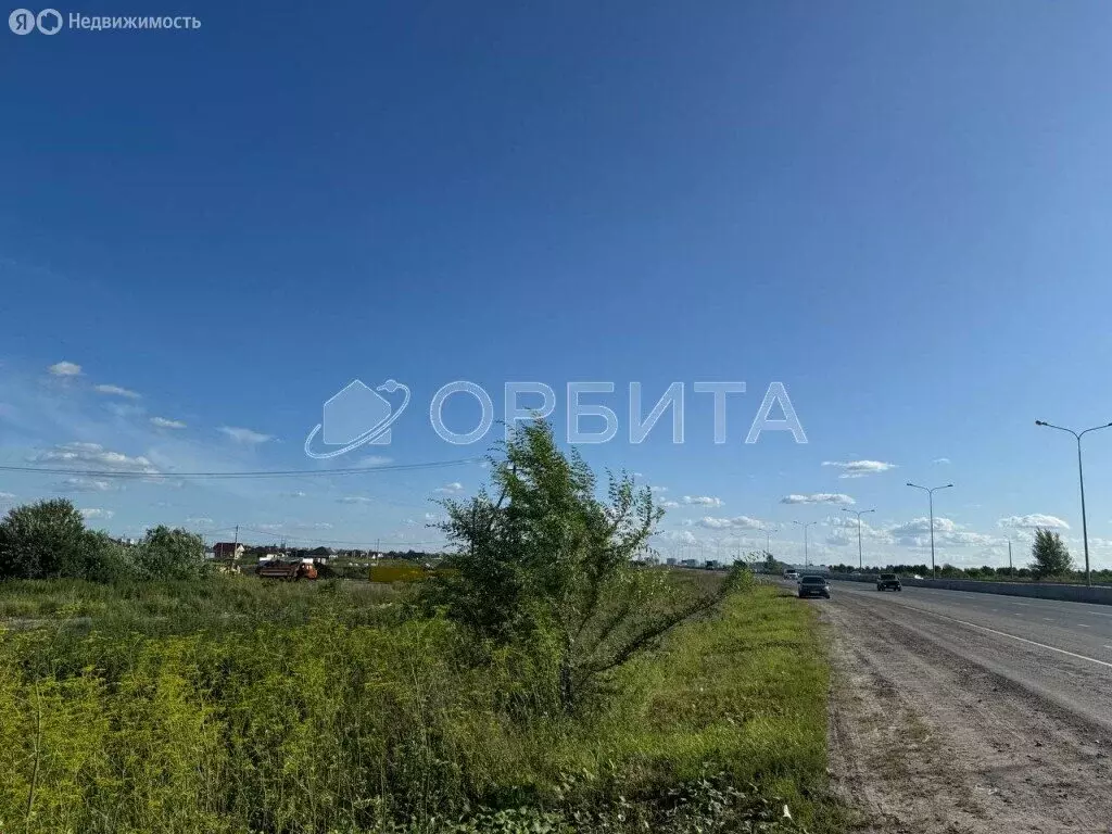 Участок в Тюмень, садовое товарищество Березняки-2 (33 м) - Фото 1