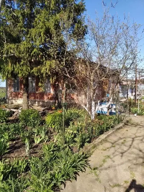 Дом в Ростовская область, Неклиновский район, Платовское с/пос, ... - Фото 1