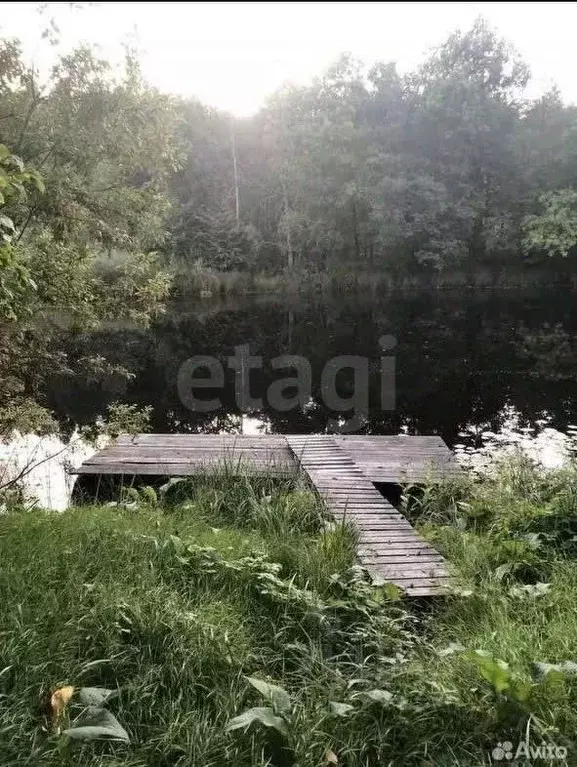 Участок в Марий Эл, Килемарский муниципальный округ, д. Петропавлово ... - Фото 0