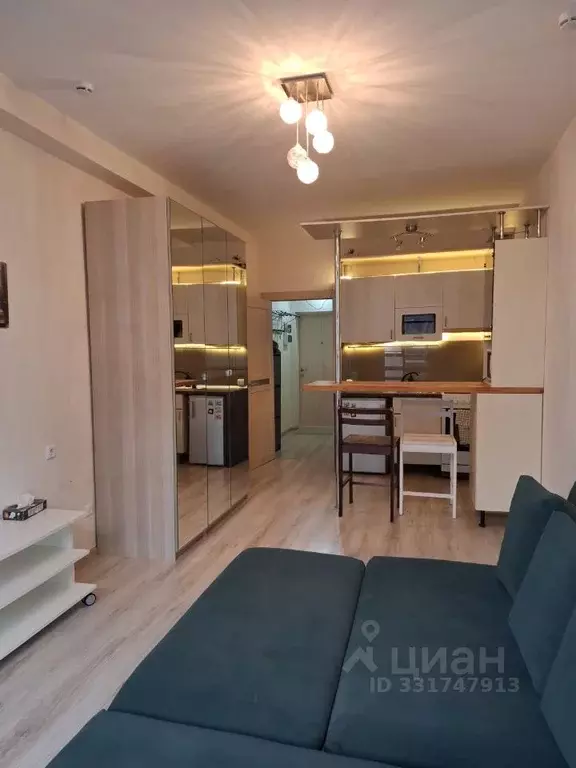 Студия Санкт-Петербург Пулковское ш., 14Е (27.0 м) - Фото 2