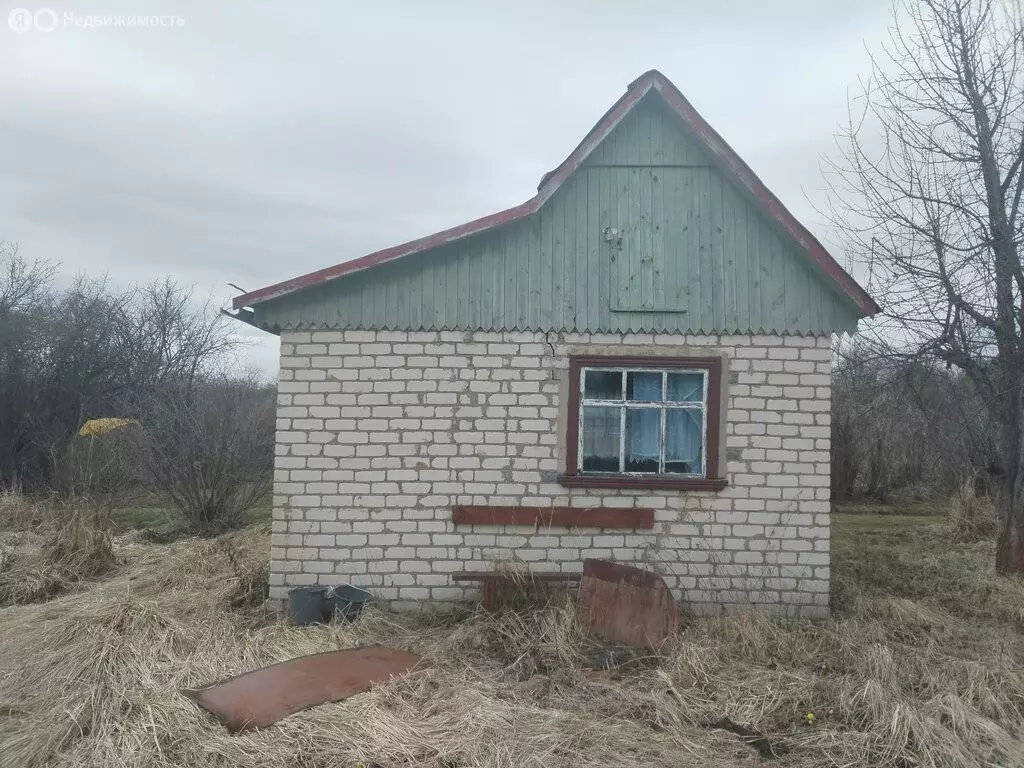 Участок в Юрьев-Польский район, муниципальное образование ... - Фото 1