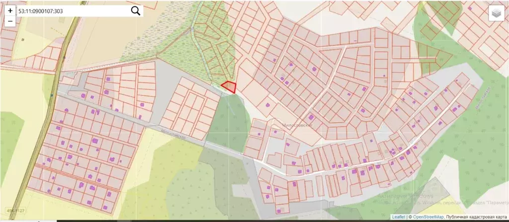 Участок в Новгородская область, Новгородский район, Ракомское с/пос, ... - Фото 2