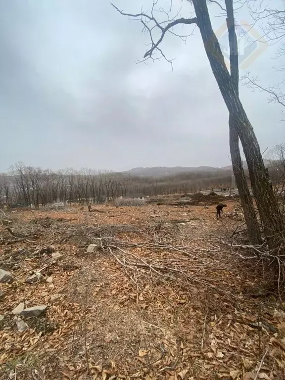 Участок в Приморский край, Находка Кедр кп, ул. Ольховая (11.46 сот.) - Фото 0