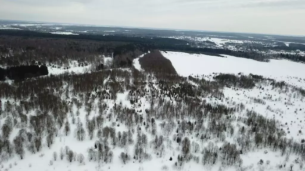 Участок в Владимирская область, Александровский район, Андреевское ... - Фото 1