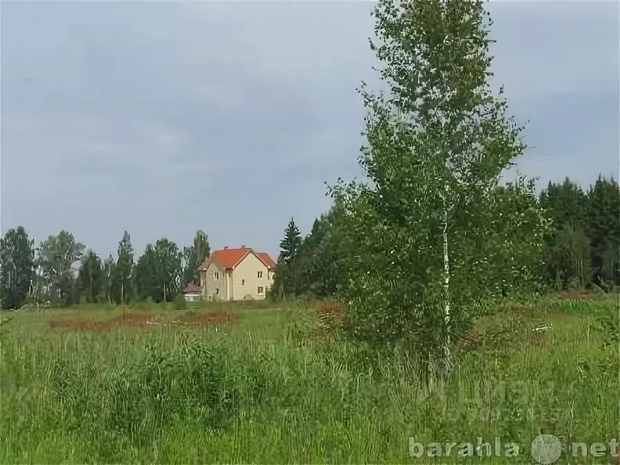 Участок в Ярославская область, Ярославский район, Заволжское с/пос, д. ... - Фото 0