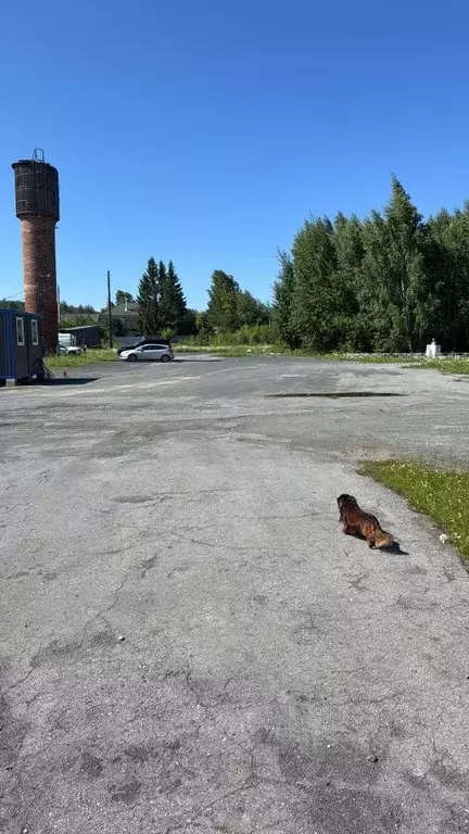 Склад в Свердловская область, Первоуральск муниципальный округ, с. ... - Фото 2