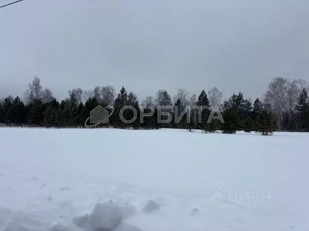 Участок в Тюменская область, Тюменский муниципальный округ, ... - Фото 1