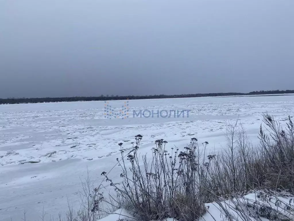 Участок в Нижегородская область, Кстовский муниципальный округ, д. ... - Фото 1