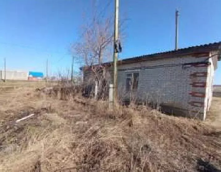 Помещение свободного назначения в Курганская область, Белозерский ... - Фото 1